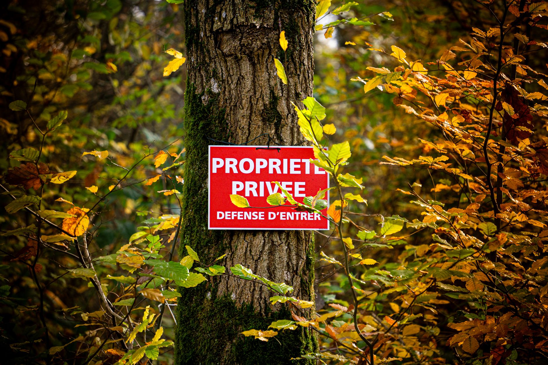 Détective privé à Quimper